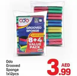Day To Day Odo Grooved Sponge offer