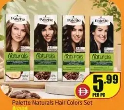 Delta Centre Palette naturals hair colors set offer