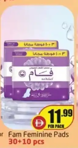 Delta Centre Fam feminine pads offer