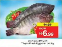 Nesto Tilapia Fresh Egyptian offer
