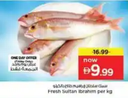 Nesto Fresh Sultan Ibrahim offer