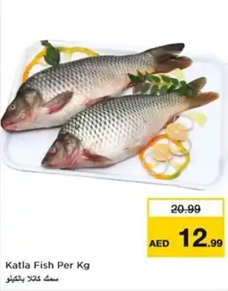 Nesto Katla Fish offer