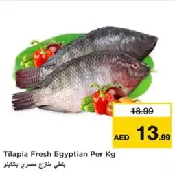 Nesto Tilapia Fresh Egyptian offer