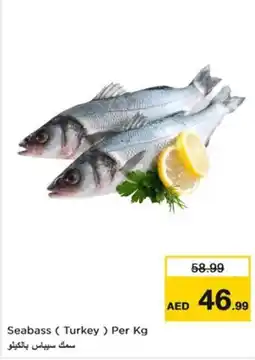 Nesto Seabass (Turkey) offer