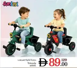 Nesto Tricycle asstd offer