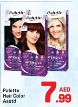Day To Day Palette hair color asstd offer