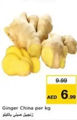 Nesto Ginger china offer