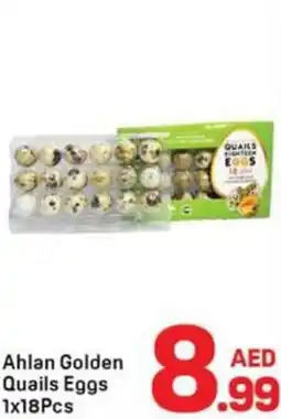 Day To Day Ahlan golden quails eggs offer