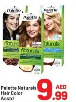 Day To Day Palette naturals hair color asstd offer