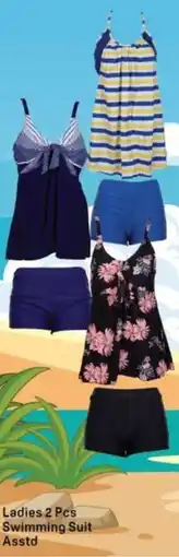 Day To Day Ladies swimming suit asstd offer