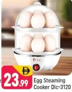 Shaklan Egg steaming cooker Dic-3120 offer