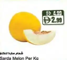 Almaya supermarket Sarda Melon offer
