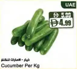 Almaya supermarket Cucumber offer