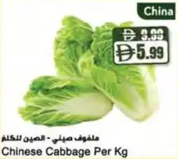 Almaya supermarket Chinese Cabbage offer