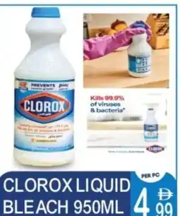 Dream Land Center Clorox liquid bleach offer