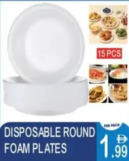 Dream Land Center Disposable round foam plates offer
