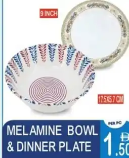 Dream Land Center Melamine bowl & dinner plate offer