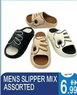 Dream Land Center Mens slipper mix assorted offer