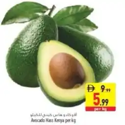 Safeer Market Avocado Hass Kenya offer