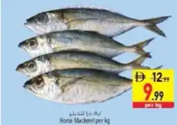 Safeer Market Horse Mackerel offer