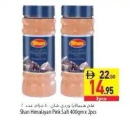 Safeer Market Shan Himalayan Pink Salt offer