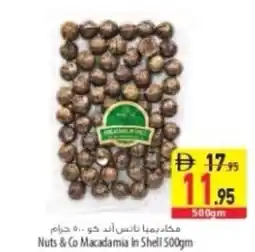 Safeer Market Nuts & Co Macadamia in Shell offer