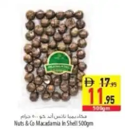 Safeer Market Nuts & Co Macadamia in Shell offer