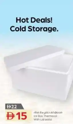 Nesto Ice Box Thermocal With Lid asstd offer