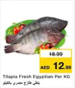 Nesto Tilapia Fresh Egyptian offer