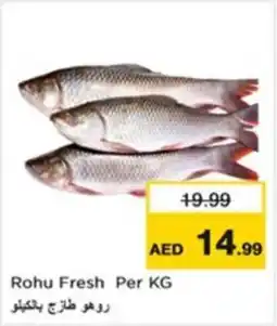 Nesto Rohu Fresh offer