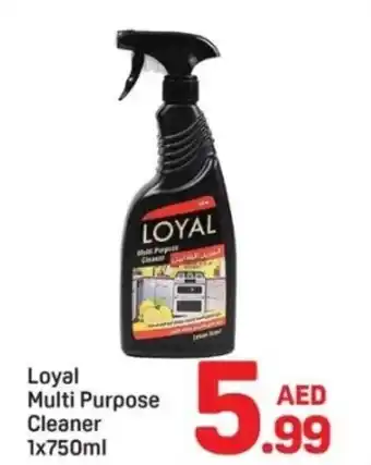 Day To Day Loyal Multi Purpose Cleaner offer