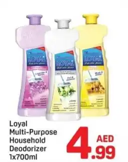Day To Day Loyal Multi-Purpose Household Deodorizer offer