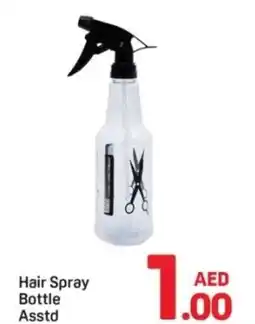Day To Day Hair Spray Bottle Asstd offer