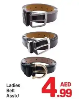 Day To Day Ladies Belt Asstd offer