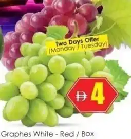 Amber Graphes White - Red offer