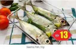 Amber Seema Fish offer