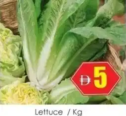 Amber Lettuce offer