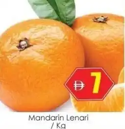 Amber Mandarin Lenari offer