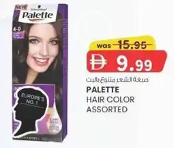 KM Trading Palette hair color assorted offer