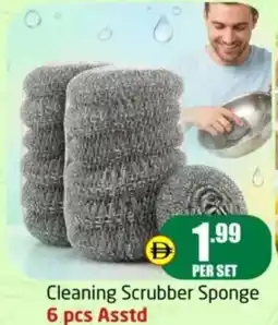 Delta Centre Cleaning scrubber sponge asstd offer