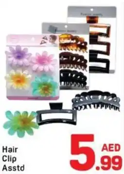 Day To Day Hair Clip Asstd offer