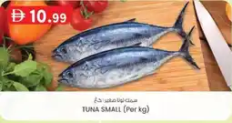 KM Trading Tuna small offer
