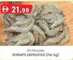 KM Trading Shrimps defrosted offer