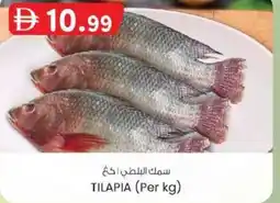 KM Trading Tilapia offer