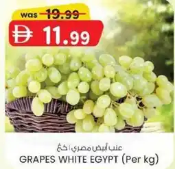 KM Trading Grapes white egypt offer