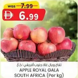 KM Trading Apple royal gala south africa offer