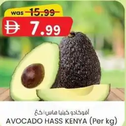 KM Trading Avocado hass kenya offer