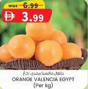 KM Trading Orange valencia egypt offer