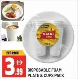 Dream Land Center Disposable foam plate & cups pack offer