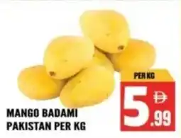 Dream Land Center Mango badami pakistan offer